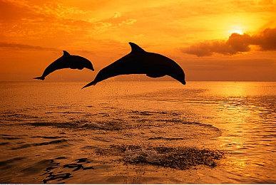 《怪物火车2》发售日预告 5月21日发售